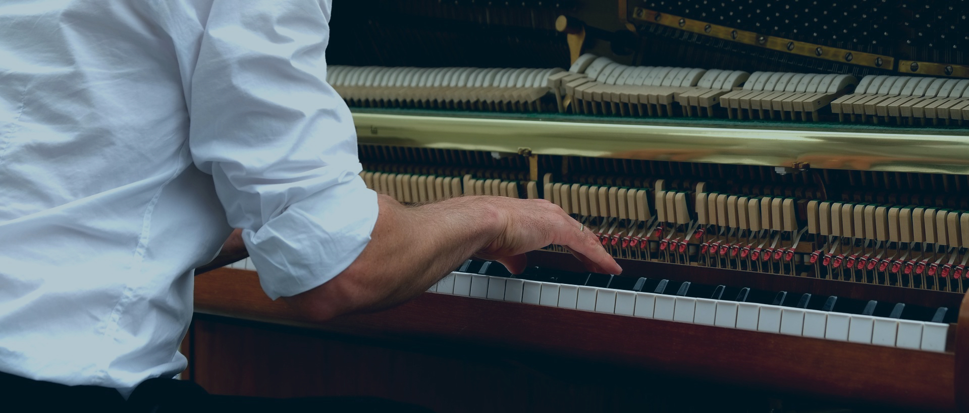 Inside of a grand piano showing hammers and strings